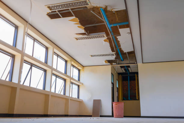 Carpet water damage restoration in Lake Junaluska, NC