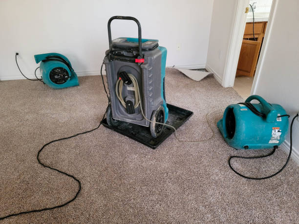 Best Water damage restoration process  in Lake Junaluska, NC