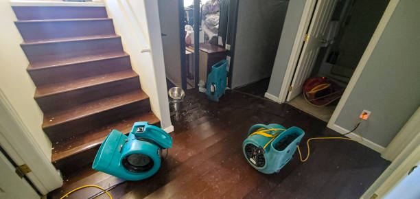 Reliable Lake Junaluska, NC Water damage restoration Solutions