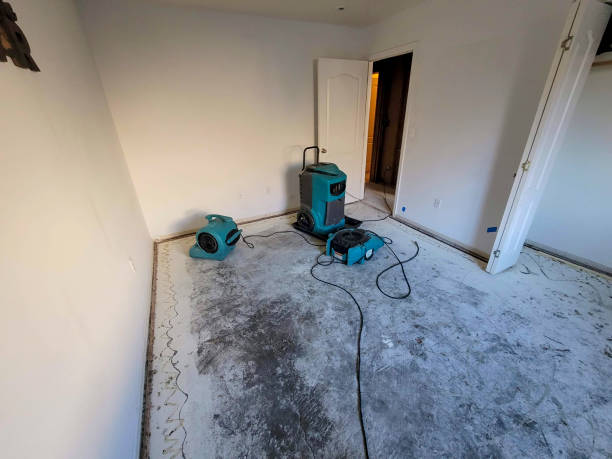 Best Residential water damage restoration  in Lake Junaluska, NC