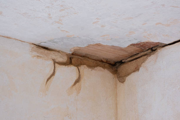 Best Professional water damage repair  in Lake Junaluska, NC