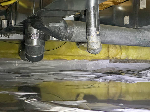 Best Mold removal after water damage  in Lake Junaluska, NC