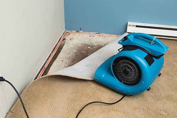 Best Sewage cleanup and water damage restoration  in Lake Junaluska, NC